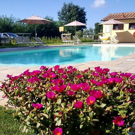 Villa Punta Dei Lecci Riparbella Exterior foto