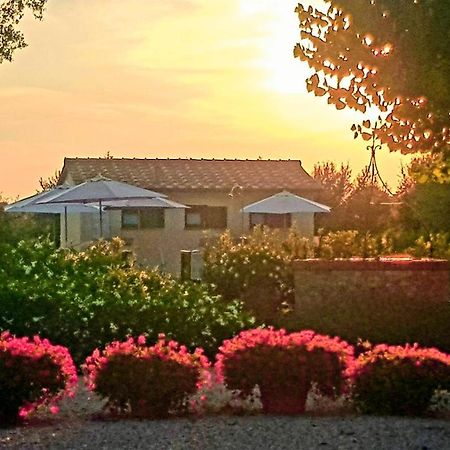 Villa Punta Dei Lecci Riparbella Exterior foto