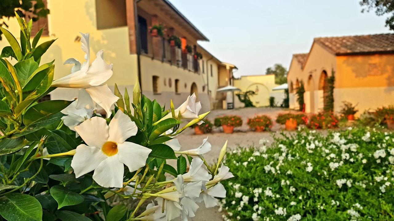 Villa Punta Dei Lecci Riparbella Exterior foto