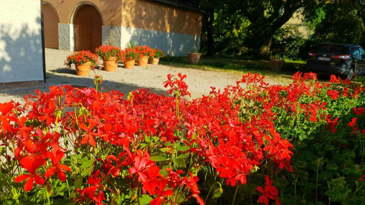 Villa Punta Dei Lecci Riparbella Exterior foto